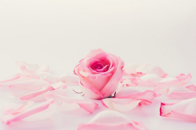 rics-russell-collins-selling-insurance-a-rose-by-any-other-name